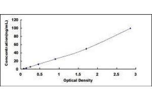 ELISA image for Growth Hormone Receptor (GHR) ELISA Kit (ABIN414526)