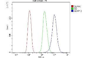 Flow Cytometry analysis of HEPA1-6 cells using anti-AKAP12 antibody (ABIN7601563). (AKAP12 anticorps  (AA 387-1620))