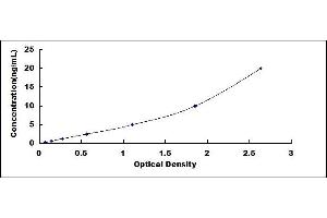 NOTCH-Regulated Ankyrin Repeat Protein (NRARP) ELISA Kit