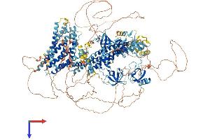 AlphaFold protein structure predicition of Mouse Recombinant Dnmbp Protein, UniprotID Q6TXD4