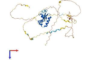 AlphaFold protein structure predicition of Mouse Recombinant Foxl2 Protein, UniprotID O88470