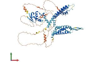 AlphaFold protein structure predicition of Mouse Recombinant Kcnc4 Protein, UniprotID Q8R1C0