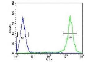 TFAM antibody flow cytometric analysis of K562 cells (right histogram) compared to a negative control (left histogram).