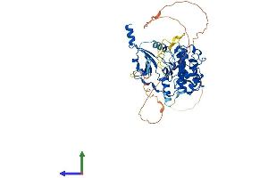 AlphaFold protein structure predicition of Human Recombinant CDK19 Protein, UniprotID Q9BWU1