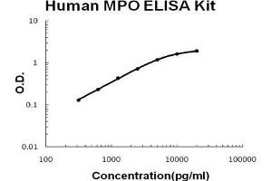 Human MPO PicoKine ELISA Kit standard curve (Myeloperoxidase Kit ELISA)