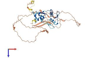 AlphaFold protein structure predicition of Human Recombinant YY2 Protein, UniprotID O15391