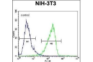Calponin-3 Antibody (Center) (ABIN390504 and ABIN2840860) flow cytometric analysis of NIH-3T3 cells (right histogram) compared to a negative control cell (left histogram). (CNN3 anticorps  (AA 129-158))