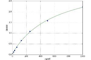 Urocortin (UCN) ELISA Kit