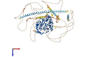 AlphaFold protein structure predicition of Human Recombinant HDAC4 Protein, UniprotID P56524