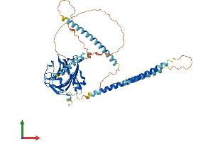 AlphaFold protein structure predicition of Human Recombinant NPTXR Protein, UniprotID O95502