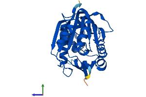 AlphaFold protein structure predicition of Human Recombinant INMT Protein, UniprotID O95050