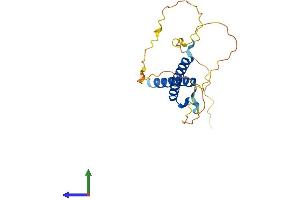 AlphaFold protein structure predicition of Human Recombinant MSGN1 Protein, UniprotID A6NI15