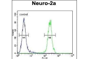 F1 Antibody (Center) (ABIN654163 and ABIN2844027) flow cytometric analysis of Neuro-2a cells (right histogram) compared to a negative control cell (left histogram). (MAF1 anticorps  (AA 90-117))