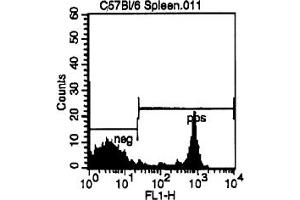Representative Histogram - Cell Source: CD3e Positive Spleen Cells Percentage of cells stained above control: 34. (CD8 anticorps  (FITC))