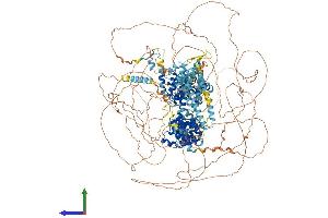 AlphaFold protein structure predicition of Human Recombinant EIF4G1 Protein, UniprotID Q04637