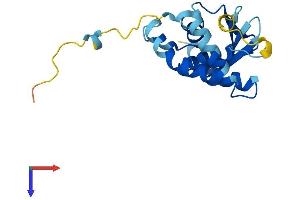 AlphaFold protein structure predicition of Mouse Recombinant Trappc5 Protein, UniprotID Q9CQA1