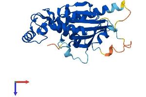 AlphaFold protein structure predicition of Human Recombinant TIGAR Protein, UniprotID Q9NQ88