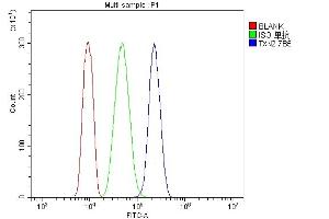 Flow Cytometry analysis of HL-60 cells using anti-Thioredoxin 2/TXN2 antibody (ABIN7602149). (TXN2 anticorps  (AA 60-166))