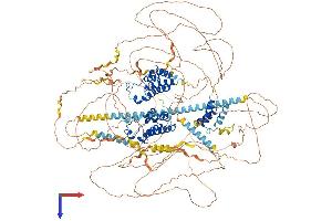 Bromodomain Containing 4 (BRD4) (AA 1-1400) protein (His tag)