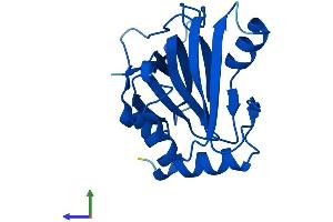 AlphaFold protein structure predicition of Human Recombinant ADI1 Protein, UniprotID Q9BV57