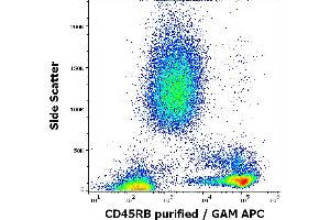 Flow cytometry surface staining pattern of human peripheral whole blood stained using anti-human CD45RB (MEM-143) purified antibody (concentration in sample 0. (CD45RB anticorps)