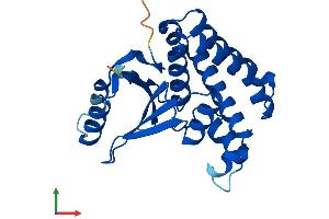 AlphaFold protein structure predicition of Human Recombinant OTUB2 Protein, UniprotID Q96DC9