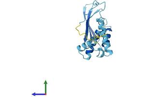AlphaFold protein structure predicition of Human Recombinant CEP19 Protein, UniprotID Q96LK0