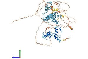 AlphaFold protein structure predicition of Human Recombinant ZSCAN25 Protein, UniprotID Q6NSZ9