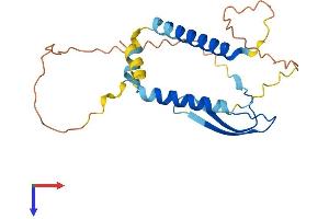AlphaFold protein structure predicition of Mouse Recombinant Akip1 Protein, UniprotID Q9JJR5