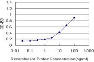 Detection limit for recombinant GST tagged FOXO3A is approximately 1ng/ml as a capture antibody. (FOXO3 anticorps  (AA 361-460))