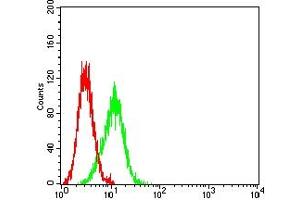 Flow cytometric analysis of SK-OV-3 cells using PAX8 mouse mAb (green) and negative control (red).