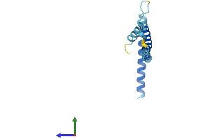 AlphaFold protein structure predicition of Human Recombinant SKA2 Protein, UniprotID Q8WVK7