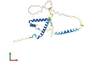 AlphaFold protein structure predicition of Human Recombinant GEMIN8 Protein, UniprotID Q9NWZ8