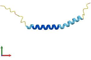 AlphaFold protein structure predicition of Human Recombinant SMIM3 Protein, UniprotID Q9BZL3