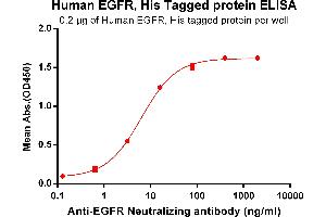 ELISA plate pre-coated by 2 μg/mL (100 μL/well) Human EGFR, His tagged protein (ABIN6964078, ABIN7042411 and ABIN7042412) can bind Anti-EGFR Antibody ABIN7093053 and ABIN7272583 in a linear range of 0.
