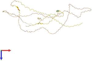 AlphaFold protein structure predicition of Human Recombinant ERICH5 Protein, UniprotID Q6P6B1