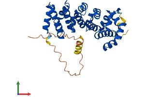 AlphaFold protein structure predicition of Mouse Recombinant Armc10 Protein, UniprotID Q9D0L7