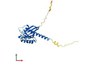 AlphaFold protein structure predicition of Mouse Recombinant Rit1 Protein, UniprotID P70426