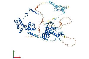 AlphaFold protein structure predicition of Human Recombinant MTA3 Protein, UniprotID Q9BTC8
