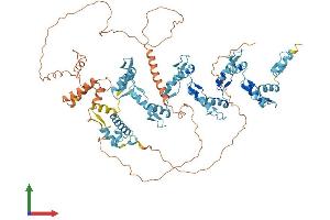 AlphaFold protein structure predicition of Human Recombinant ZNF606 Protein, UniprotID Q8WXB4