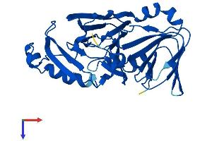 AlphaFold protein structure predicition of Mouse Recombinant Haao Protein, UniprotID Q78JT3