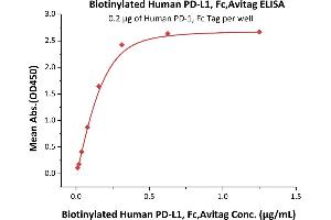 Immobilized Human PD-1, Fc Tag (ABIN2181608,ABIN2181607) at 2 μg/mL (100 μL/well) can bind Biotinylated Human PD-L1, Fc,Avitag (ABIN5674607,ABIN6253677) with a linear range of 10-313 ng/mL (QC tested).