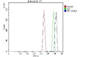 Flow Cytometry analysis of A431 cells using anti-SP1 antibody (ABIN7601559).