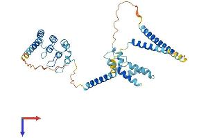 AlphaFold protein structure predicition of Mouse Recombinant Nfkbil1 Protein, UniprotID O88995