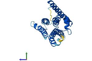 AlphaFold protein structure predicition of Mouse Recombinant Pigf Protein, UniprotID O09101