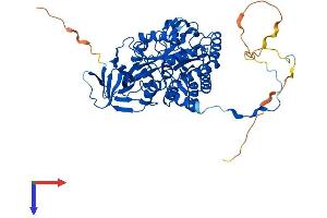 AlphaFold protein structure predicition of Human Recombinant DPYSL2 Protein, UniprotID Q16555