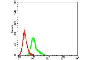 Flow cytometric analysis of Ramos cells using CD191 mouse mAb (green) and negative control (red).