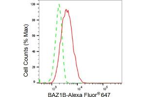 Flow cytometric analysis of BAZ1B expression in HeLa cells using BAZ1B antibody (ABIN7797797), 1:2,000). (Recombinant BAZ1B anticorps)