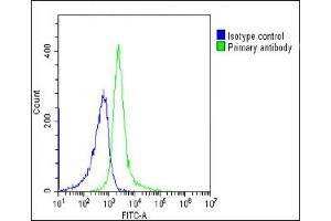 Overlay histogram showing Ramos cells stained with (ABIN654092 and ABIN2843978)(green line). (BACH2 anticorps  (C-Term))