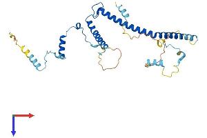 AlphaFold protein structure predicition of Mouse Recombinant Ebna1bp2 Protein, UniprotID Q9D903